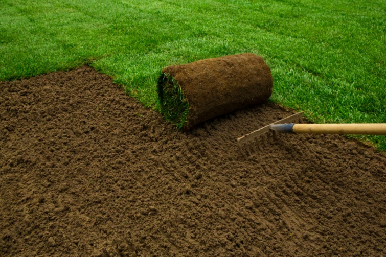 Capture d’écran (24)