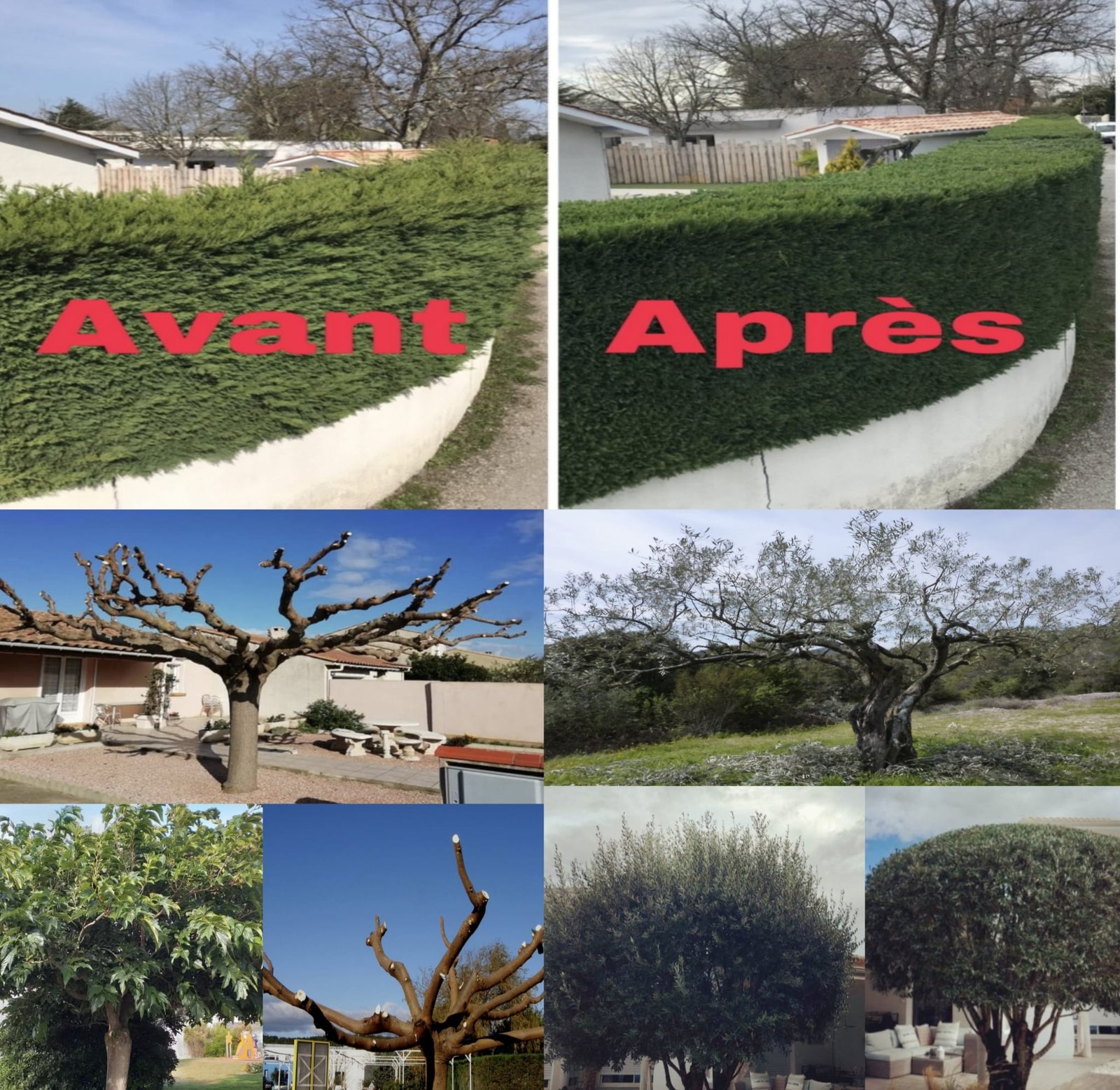 WhatsApp Image 2025-02-07 à 14.02.31_7b2d2ba5